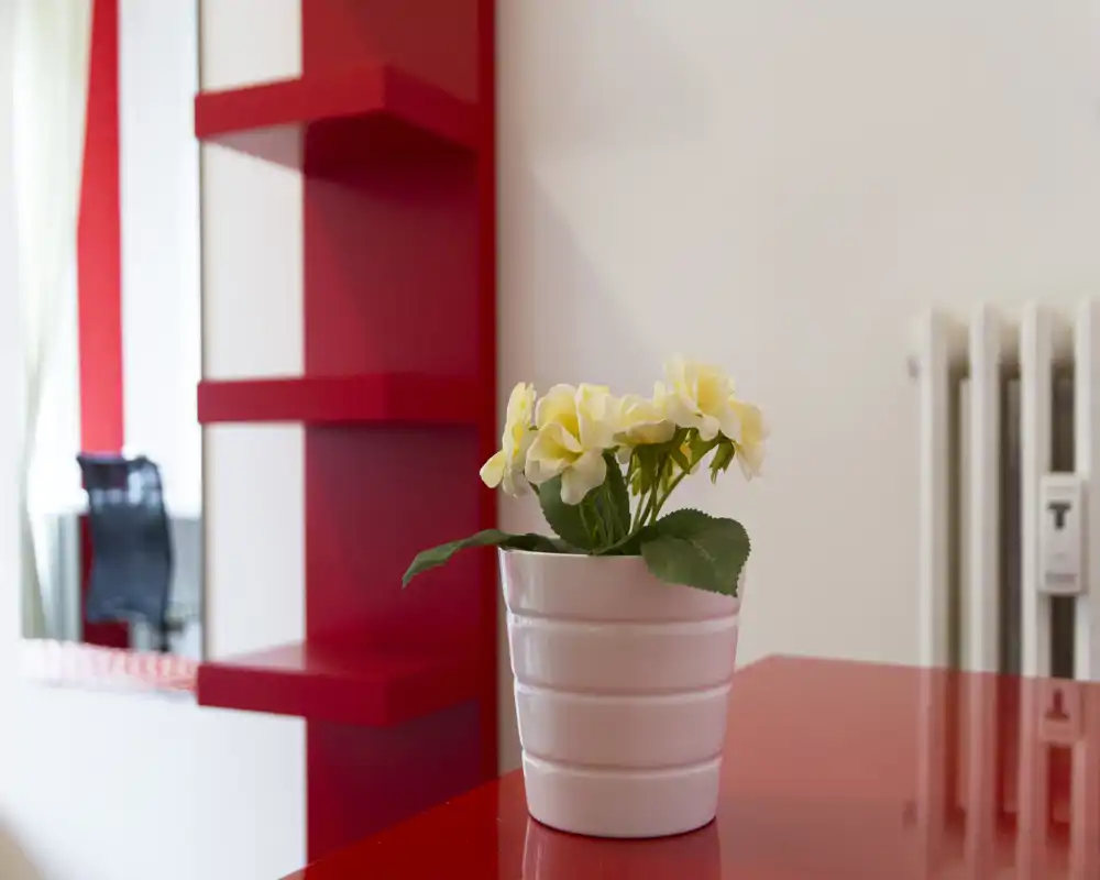A bright, modern corner of a living area featuring a small potted flower on a glossy red surface, with a mirror and radiator in the background.
