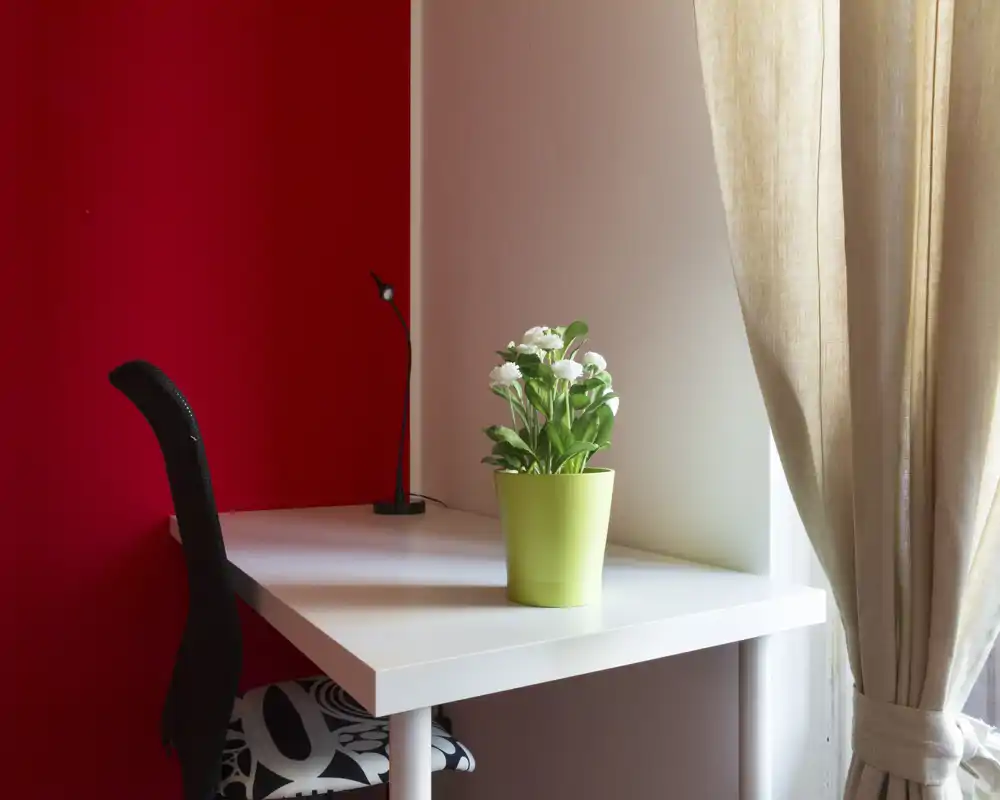 Rincón de sala/trabajo bien iluminado con escritorio blanco, silla estampada, una pequeña lámpara y una planta decorativa junto a la ventana con cortina.