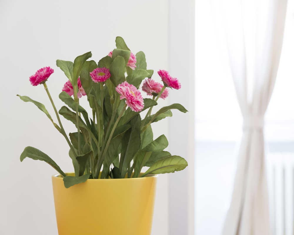 Single room Milano, 6 beds, 13m² — photo 18