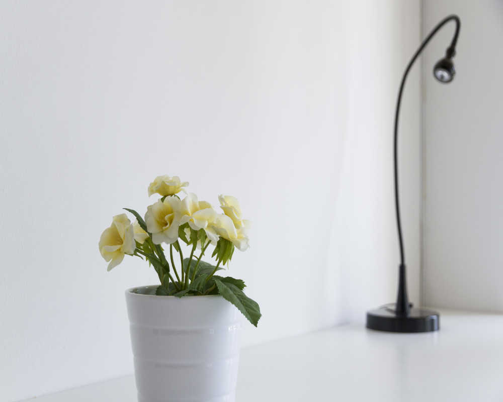 Single room Milano, 6 beds, 14m² — photo 15