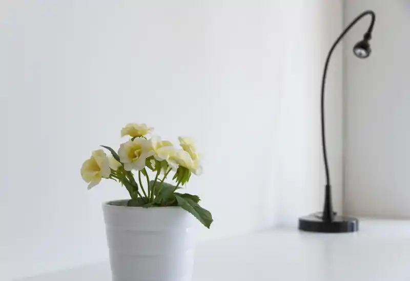 Primo piano di un vaso con fiori gialli su una superficie bianca e una piccola lampada da tavolo nera sullo sfondo; dettaglio decorativo minimalista, non una vista completa di una stanza.