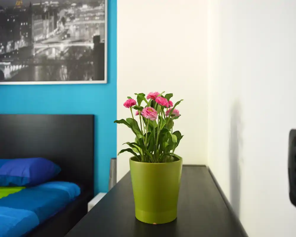 Rincón de dormitorio moderno y luminoso con cabecero negro, ropa de cama azul y una planta en maceta verde sobre una mesita oscura; líneas limpias y una foto enmarcada en una pared turquesa.