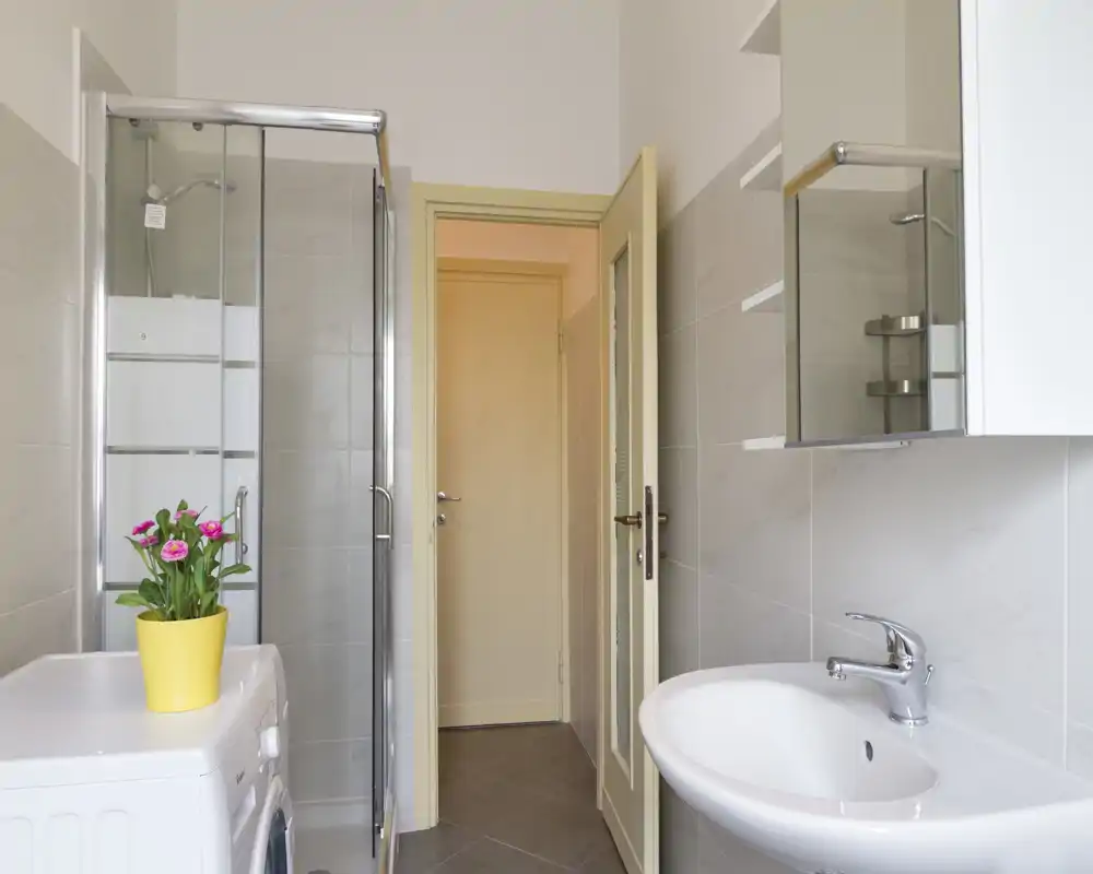 Baño moderno y luminoso con lavabo, armario con espejo, ducha con mampara de cristal y lavadora con una maceta encima.