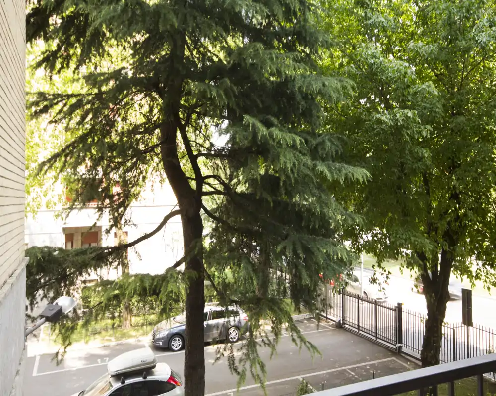 View from a balcony overlooking a tree-lined street and parked cars; pleasant greenery provides privacy and shade.