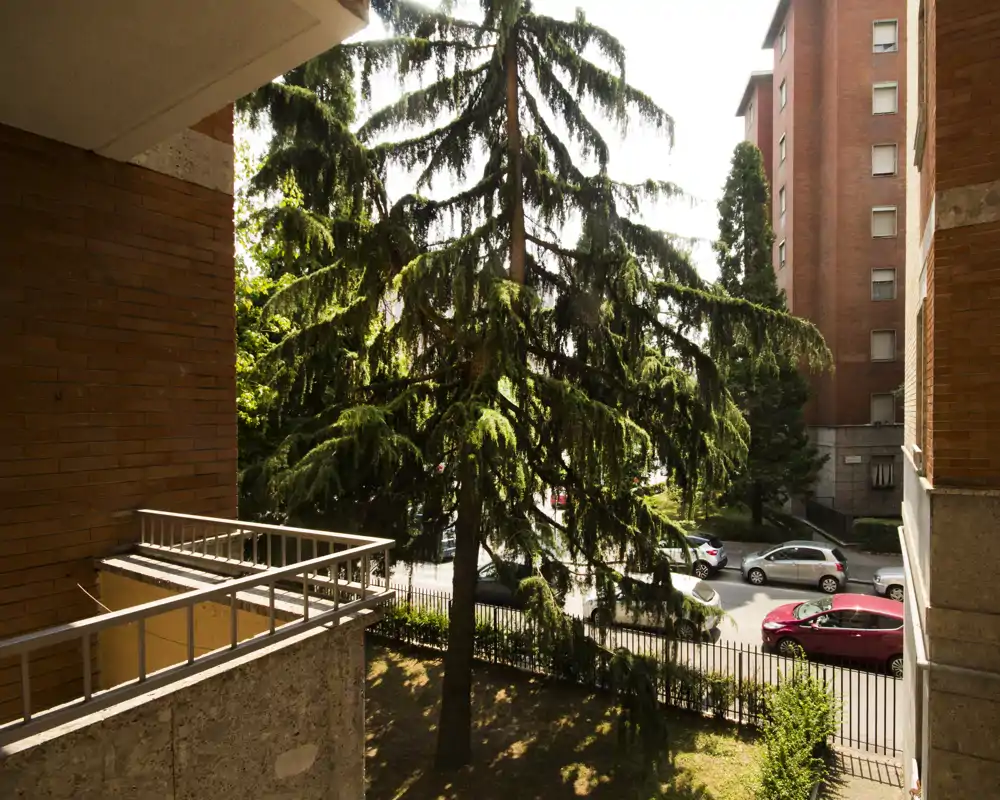 Balcon donnant sur une rue bordée d'arbres avec des voitures garées ; lumière vive en fin de matinée et rambarde métallique au premier plan.