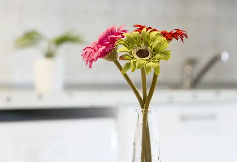 Primer plano de un jarrón de cristal con gerberas de colores sobre un fondo de cocina moderna y luminosa; el desenfoque resalta el centro floral.