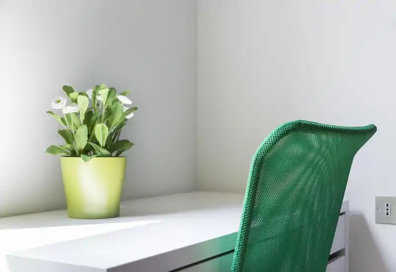 Bright, minimal desk corner featuring a white surface, a green mesh chair and a potted plant; ideal for a compact home office or study nook.