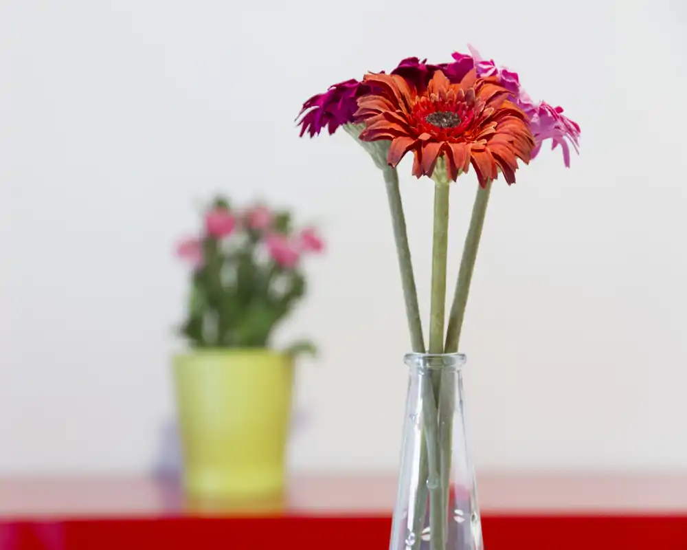 Primo piano di fiori decorativi in un vaso di vetro su un piano d'appoggio con una piantina sfocata sullo sfondo. L'immagine mette in evidenza il dettaglio floreale più che una stanza.