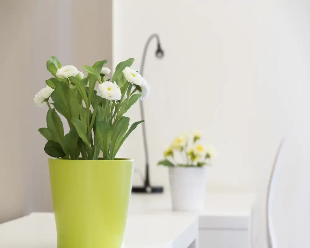Primo piano di vaso con fiori decorativi su un piano bianco; l'immagine si concentra sulle piante e sulla decorazione da tavolo senza mostrare abbastanza dell'ambiente circostante per identificare la stanza.