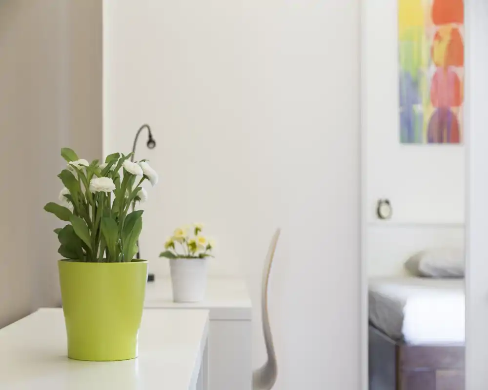 Angolo camera luminoso e dallo stile minimal, con piante decorative su una scrivania bianca e il letto parzialmente visibile sullo sfondo. Pulito, moderno e accogliente per un annuncio.