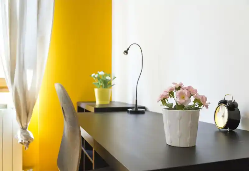 Rincón de trabajo moderno y luminoso con escritorio oscuro, plantas decorativas y una lámpara pequeña; la pared amarilla y la luz natural crean un ambiente acogedor.