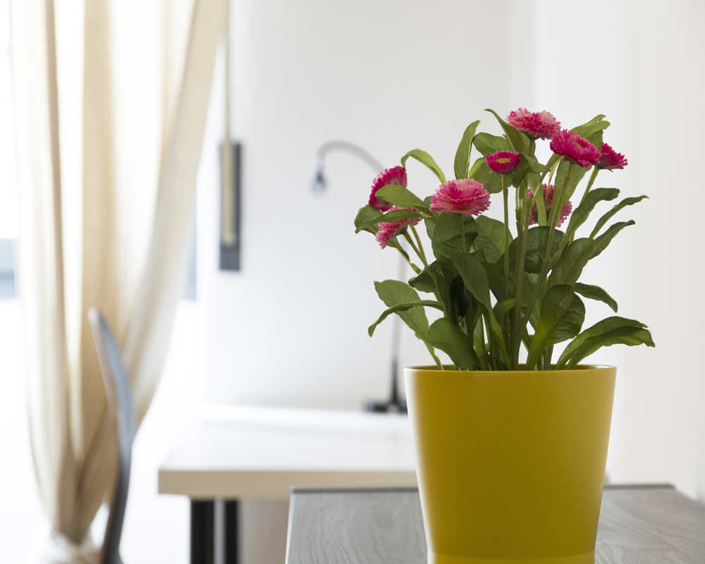 Single room Milano, 3 beds, 19m² — photo 12