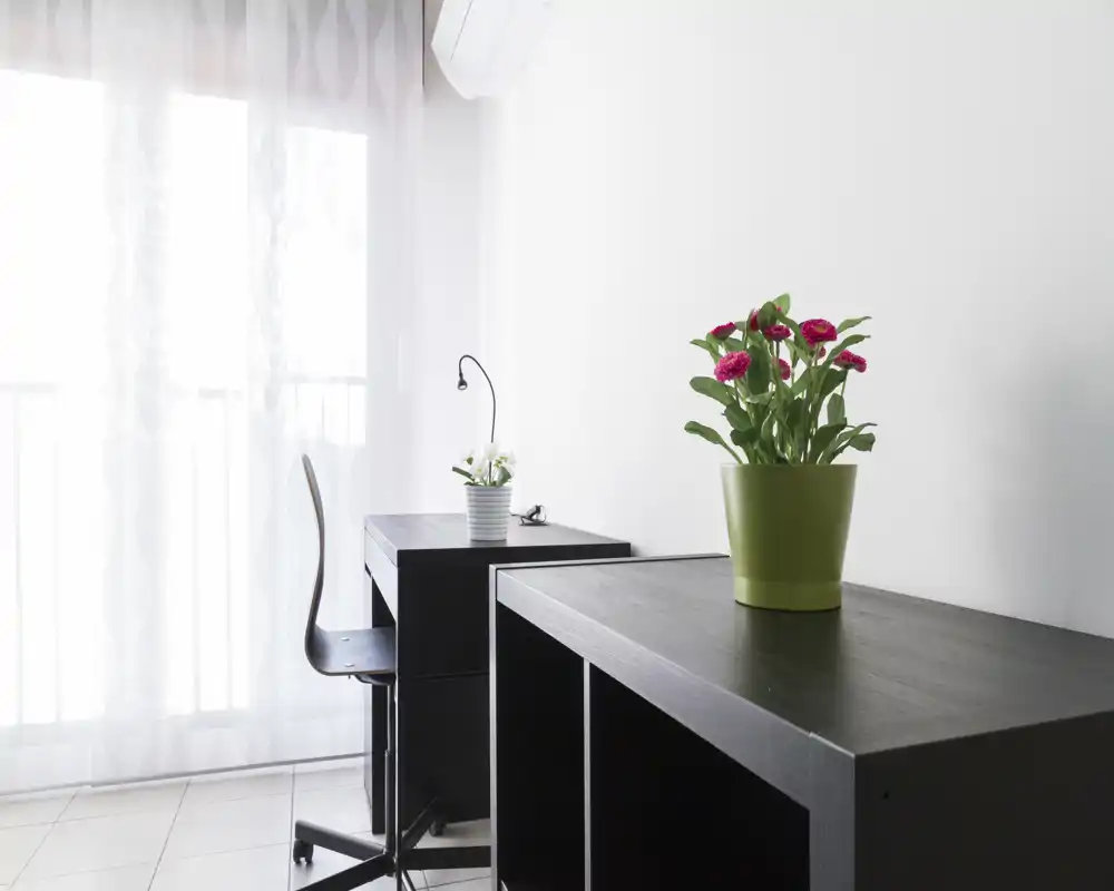 Coin salon/travail minimaliste et lumineux avec bureau foncé, chaise et étagère près d'une grande fenêtre laissant entrer une lumière naturelle douce ; des plantes en pot apportent une touche décorative.