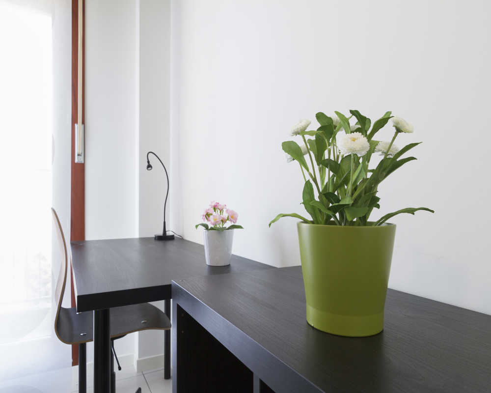 Single room Milano, 8 beds, 14m² — photo 31