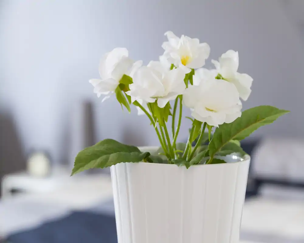 Close-up of a white floral arrangement in a ceramic pot placed in a softly blurred bedroom background; bright, minimal composition that adds a decorative touch to the sleeping area.
