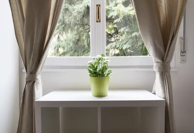 Image de la chambre