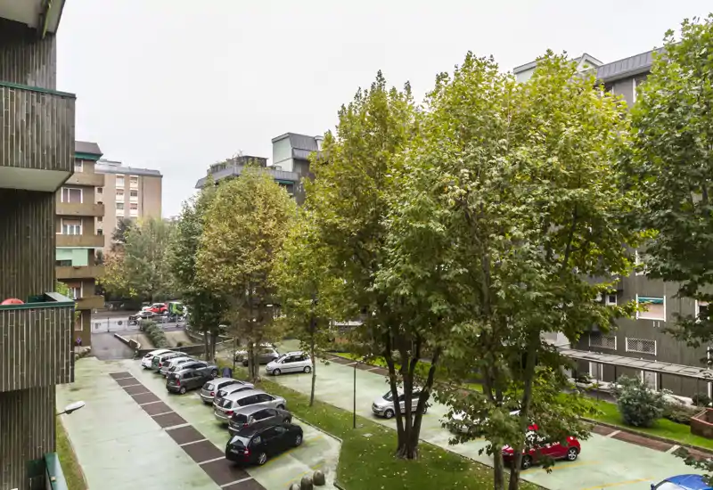 Outdoor communal area with parking spaces and mature trees; suitable for highlighting on a listing for its green courtyard and resident parking.