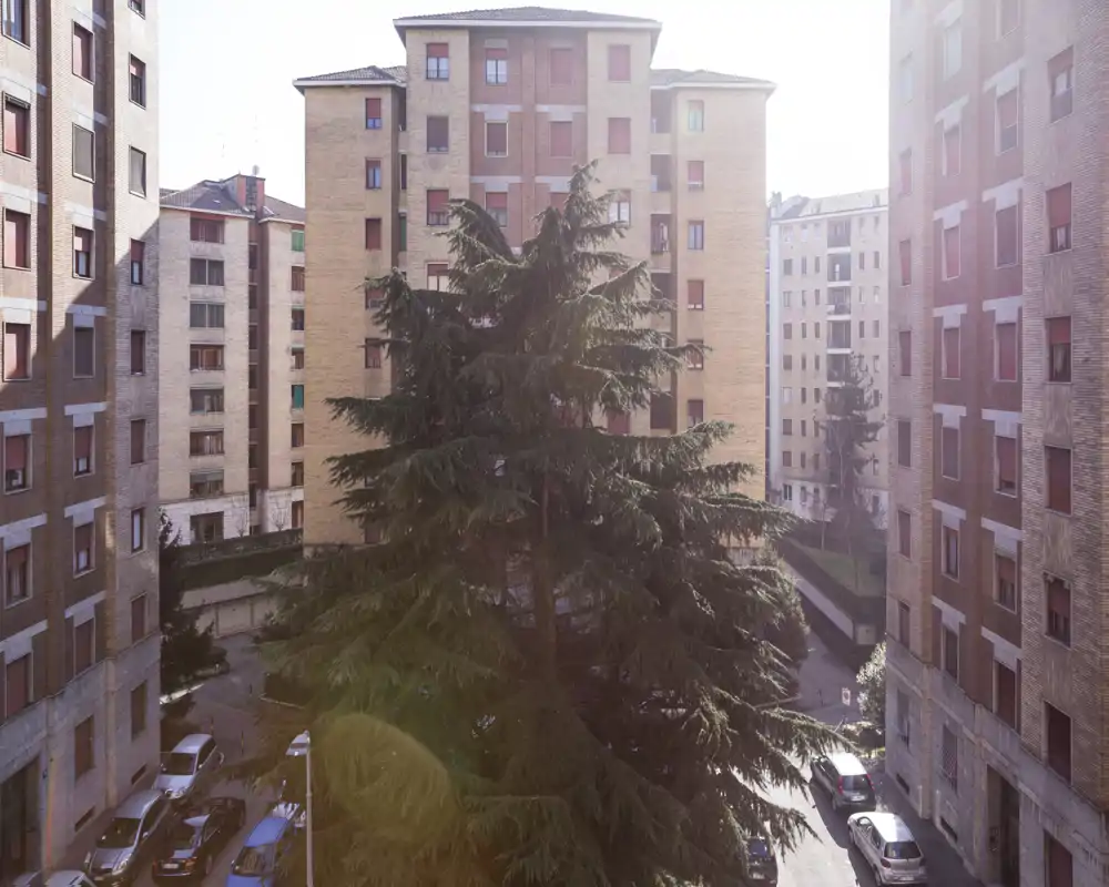 Vista de un patio exterior enmarcado por edificios residenciales con un gran árbol perenne en el centro y coches aparcados a lo largo de la entrada; luz suave y un ligero destello de lente.