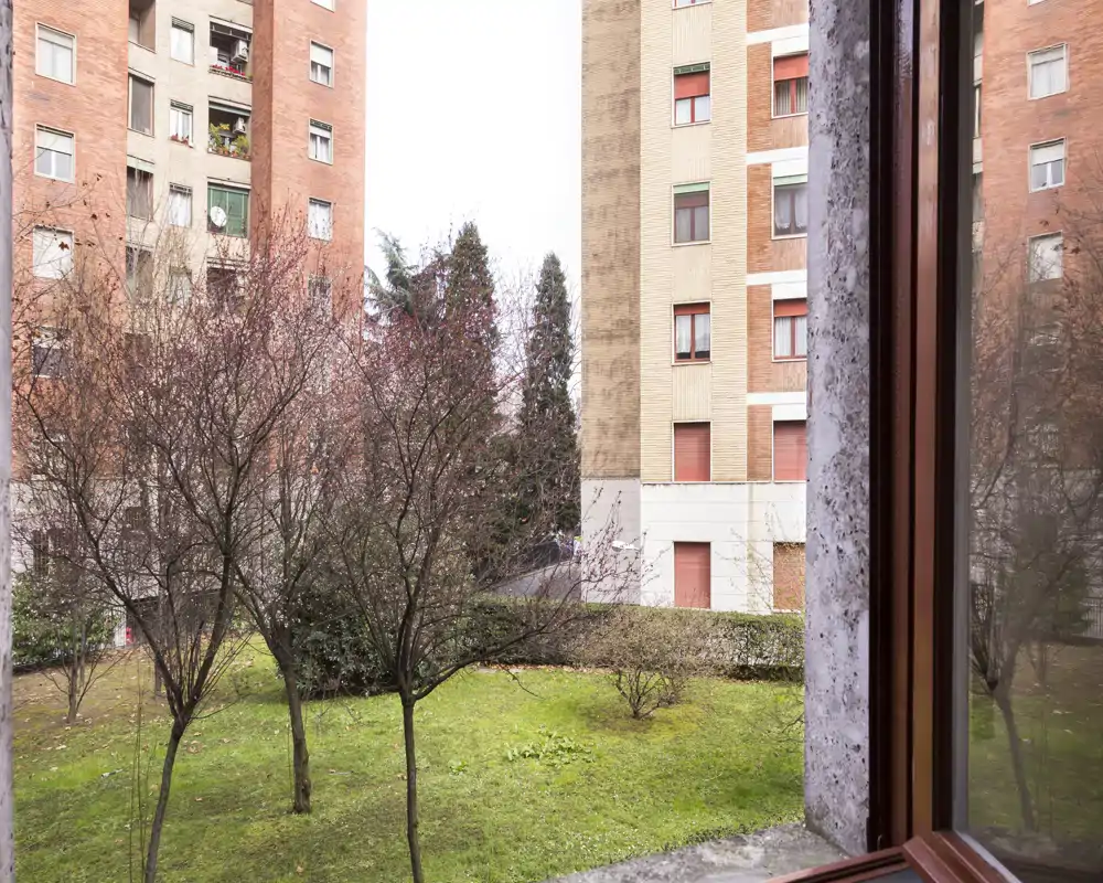 Vista de un pequeño jardín comunitario y los edificios alrededor desde una ventana; césped con árboles sin hojas y arbustos.
