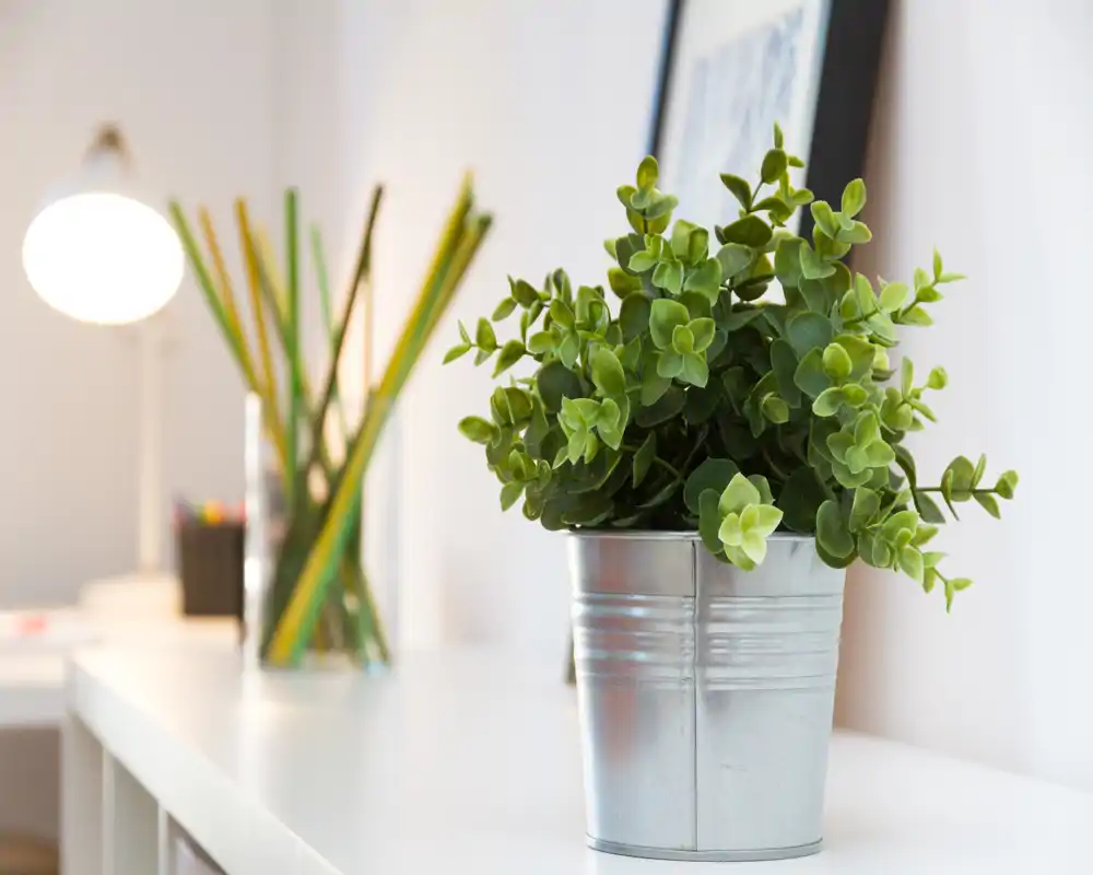 Dettaglio decorativo luminoso di un'area living: vaso in metallo con pianta su un piano bianco, con lampada da tavolo e portamatite sullo sfondo.