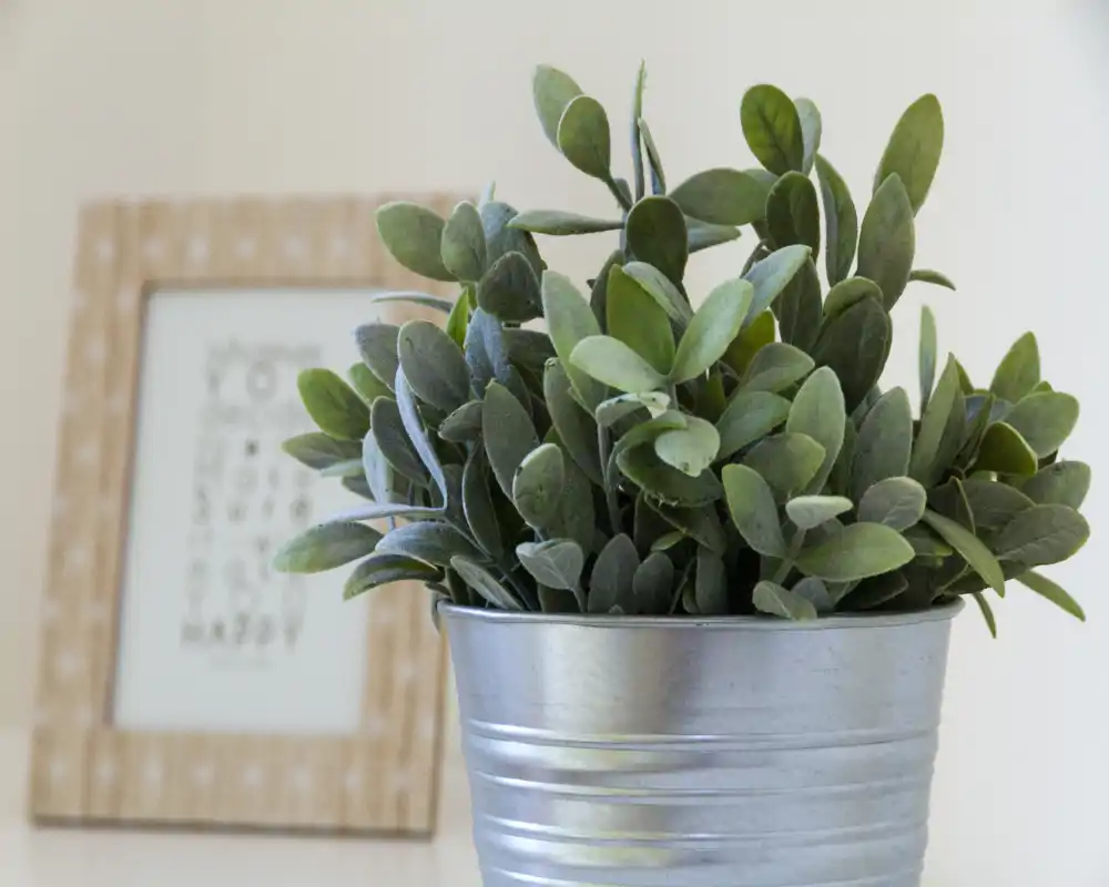 Primer plano de una planta decorativa en una lata metálica con un marco desenfocado detrás — foto de detalle indicada para mostrar decoración, no para presentar una habitación completa.