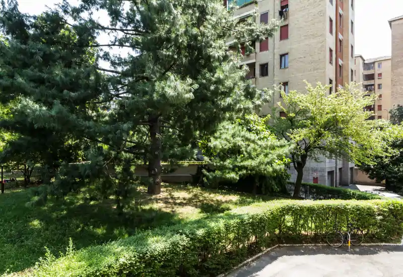 Sunny communal courtyard with mature trees, manicured hedges and an open lawn area in front of apartment buildings.