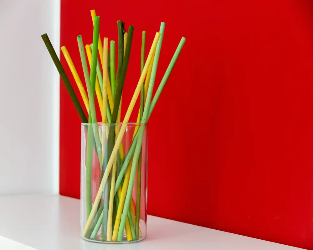 Close-up of decorative colored reed sticks in a clear glass vase positioned on a white shelf against a red wall — an accent decor detail rather than a room view.