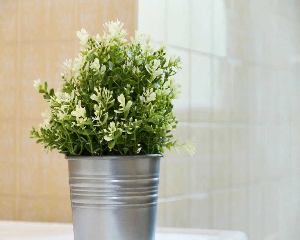 Close-up of a decorative potted plant in front of tiled walls; useful as an accessory detail but the room type is not identifiable from this image alone.