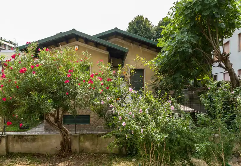 Giardino anteriore con arbusti in fiore e alberi davanti a una piccola casa — spazio esterno luminoso e verde, ideale per un giardino urbano accogliente.