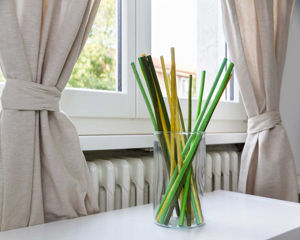 Immagine della stanza 5