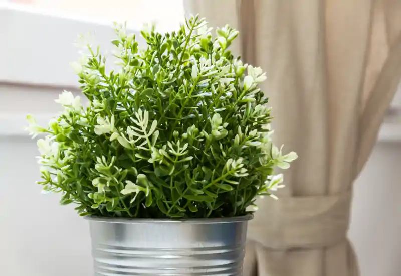 Imagen de la habitación