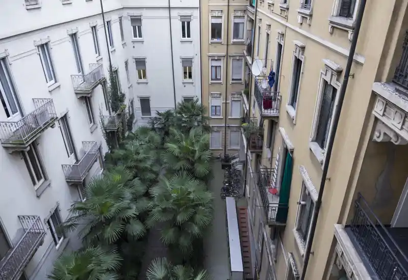 Vista de un patio interior con densas palmeras y balcones de los apartamentos alrededor; agradable espacio verde urbano visible desde plantas altas.