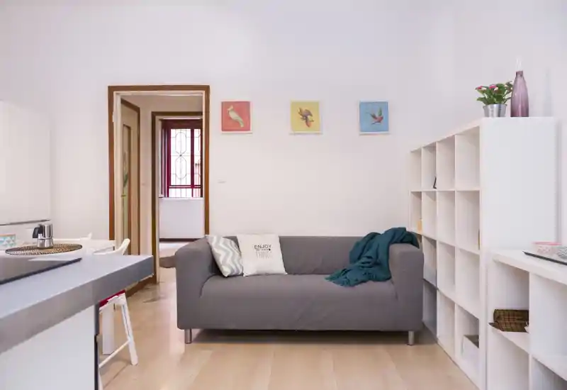 Bright, tidy living area with a modern grey sofa, decorative cushions and shelving — ideal for a small apartment living room.