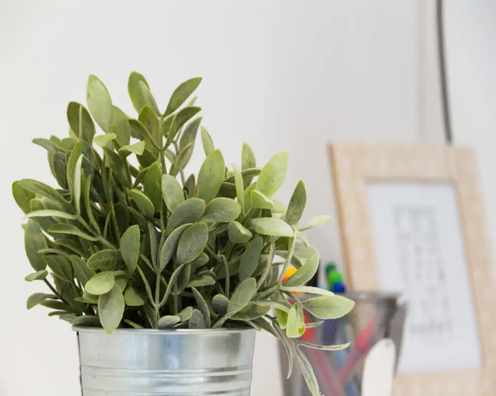 Primer plano de una planta en maceta decorativa sobre un escritorio con material de oficina y un marco desenfocado al fondo. La imagen destaca un accesorio de escritorio en lugar de una habitación completa.