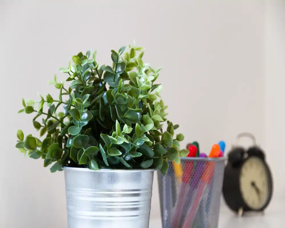 Primer plano de una pequeña planta en maceta sobre un escritorio junto a un portabolígrafos y un despertador: una imagen de detalle decorativo, no de una habitación concreta.
