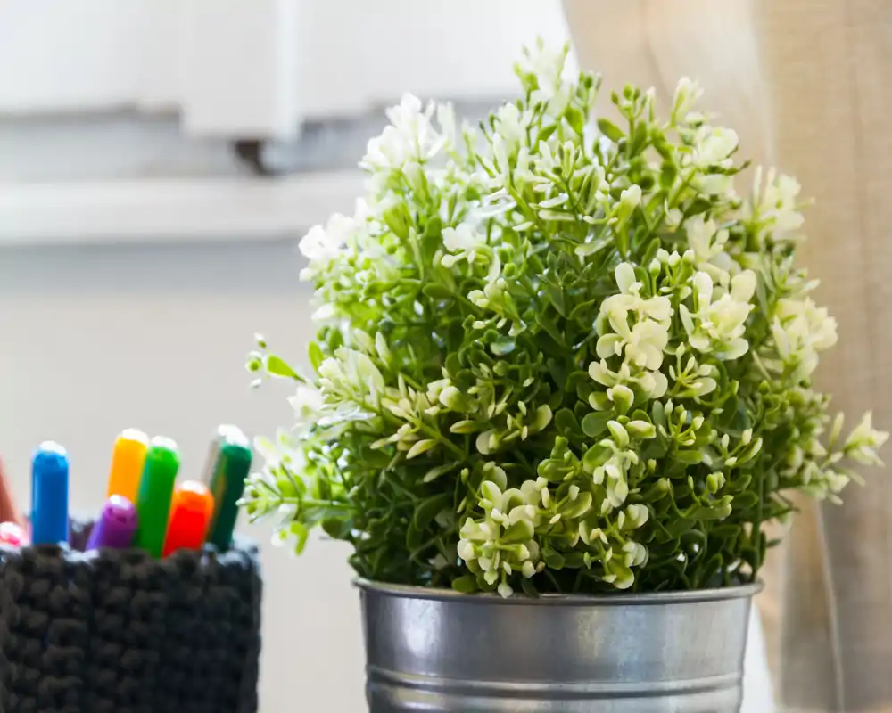 Primer plano de una planta decorativa en maceta junto a un contenedor de rotuladores de colores; la imagen se centra en la vegetación y los accesorios de escritorio, no en una habitación concreta.