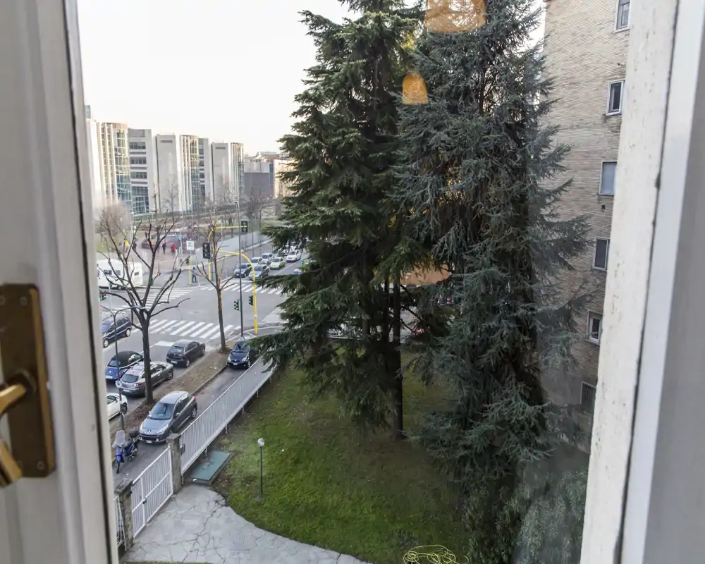 Exterior view from a window onto a small green area and street with cars; tall trees partially block the view and a city intersection is visible in the background.