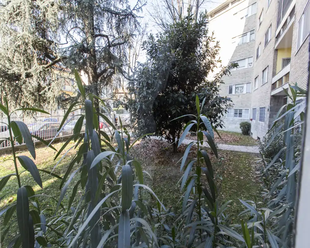 Veduta del cortile a piano terra con area verde, alberi maturi e cespugli visibili dalla finestra; adatta per mostrare un giardino condominiale o piccolo spazio esterno.