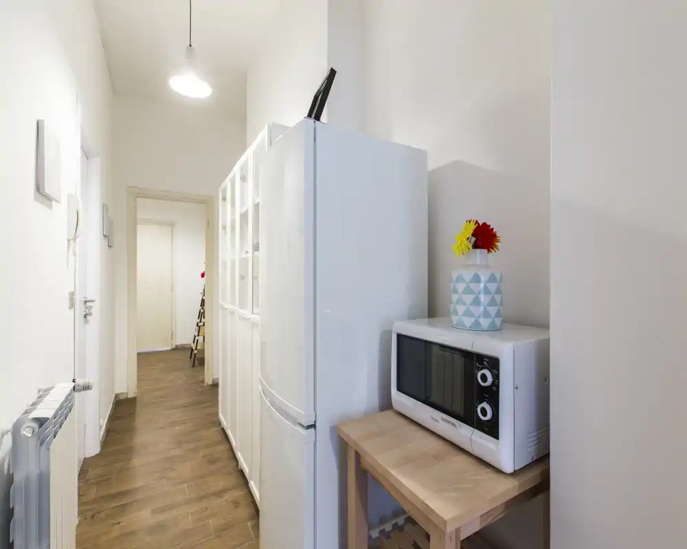 Bright, narrow entrance/hallway with wooden floor, white walls, a radiator and appliances (fridge and microwave) placed along the side.