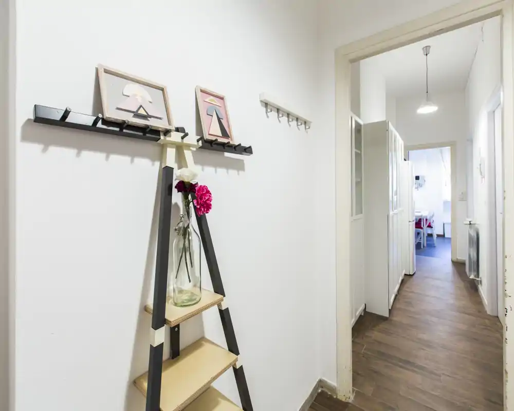 Bright, narrow entrance hallway with decorative ladder shelf and wall hooks; wooden floor leads toward the living area.
