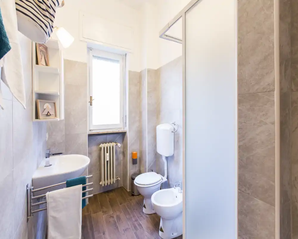 Bright, modern bathroom with a sink, toilet and bidet, a shower enclosure at right and natural light from a window.