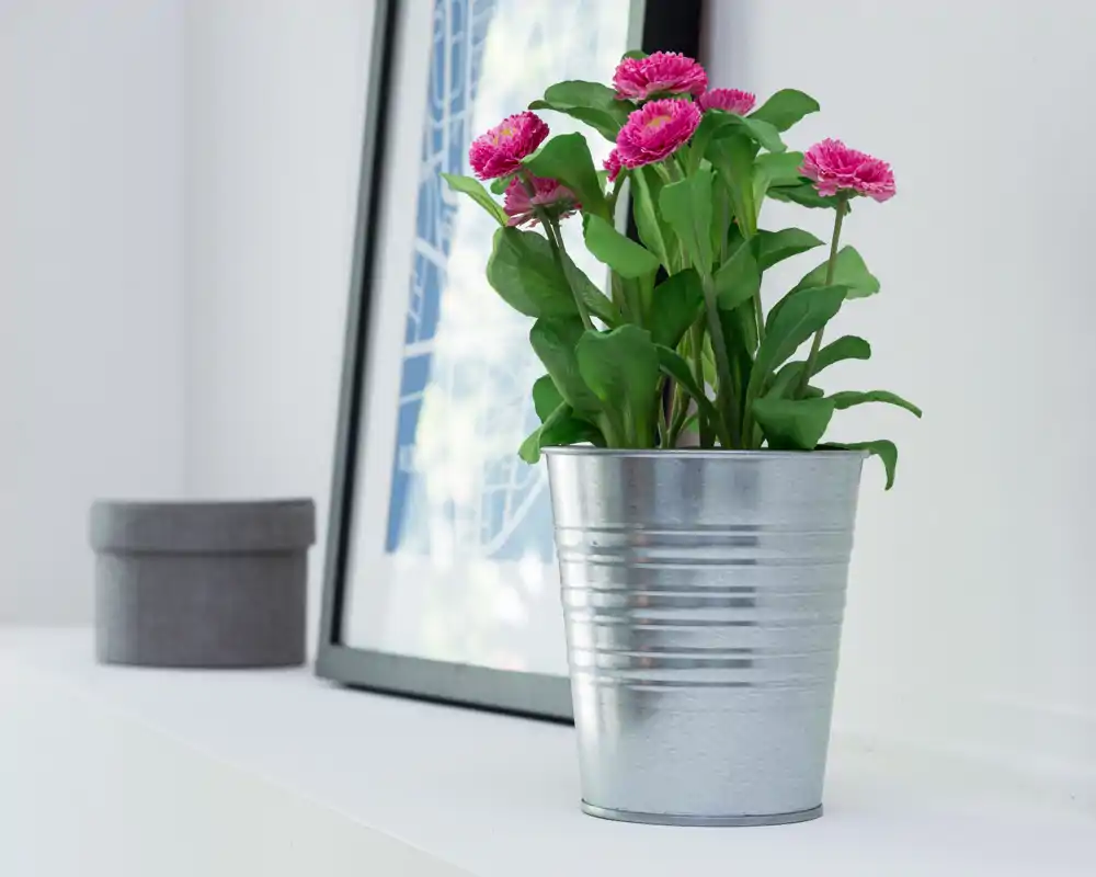 Primer plano decorativo de una planta con flores rosa en maceta sobre una estantería blanca junto a una lámina enmarcada: un detalle de decoración, no una vista completa de la habitación.