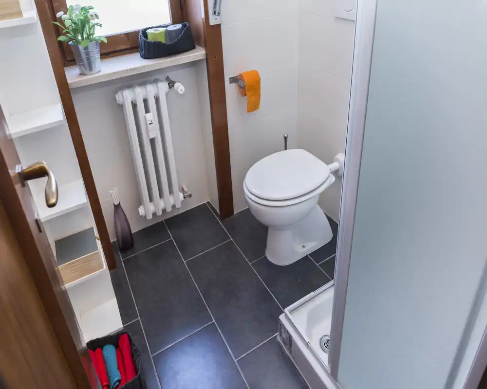 Compact, well-lit bathroom with a toilet, shower with frosted glass door, radiator under the window and tiled floor. Clean and practical layout suitable for a small apartment.