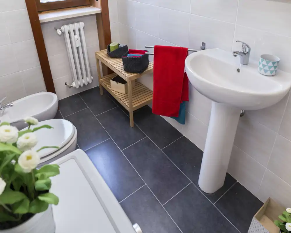 Bright, tidy bathroom with pedestal sink, bidet and toilet, dark tiled floor and white wall tiles. Decorative baskets, towel rail and small plants add a welcoming touch.