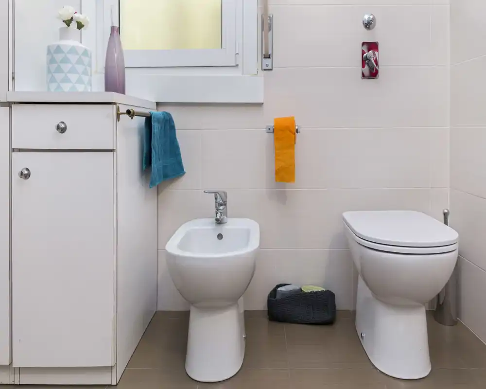 Baño moderno y luminoso con bidé y inodoro, accesorios ordenados y mueble lavabo limpio.