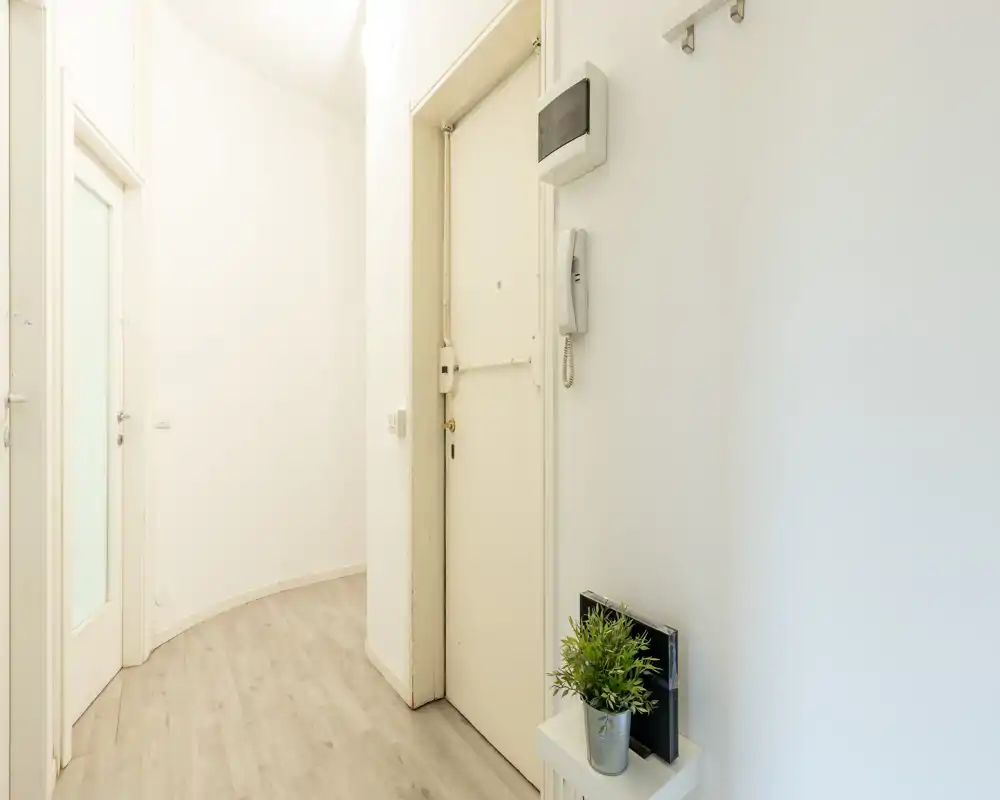 Bright, minimal apartment entrance with a white front door, intercom and light wood flooring; simple modern styling and a small decorative plant.