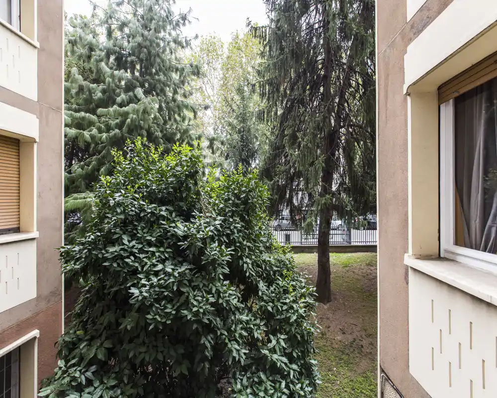 Veduta di un cortile verde privato con alberi maturi e cespugli fitti incorniciati tra due facciate: ottima soluzione per un'area esterna tranquilla.