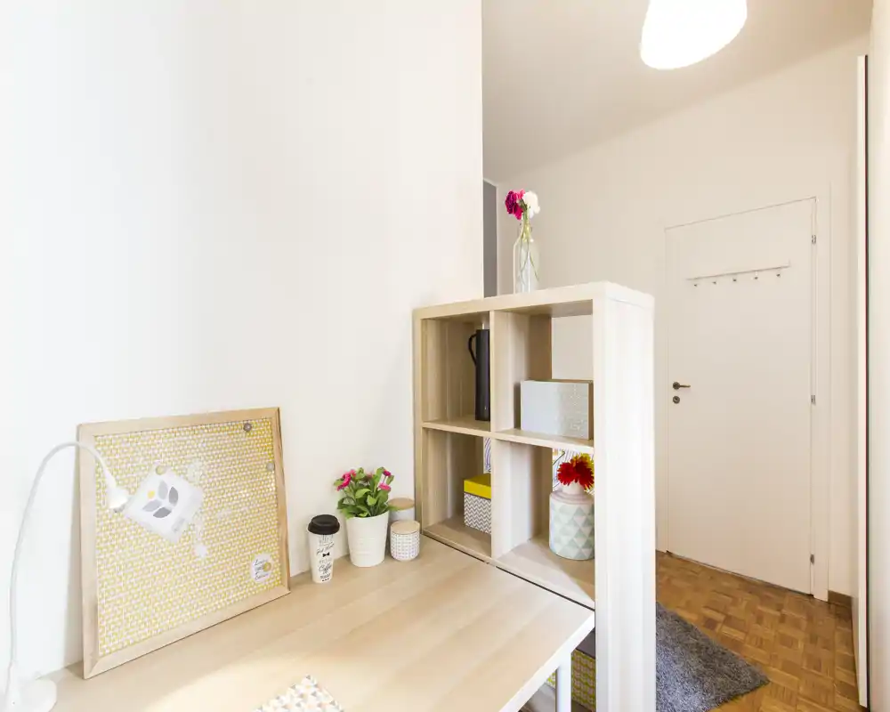 Bright, tidy entrance area with a small shelving divider and decorative plants; wooden floor and neutral walls create a welcoming arrival space.
