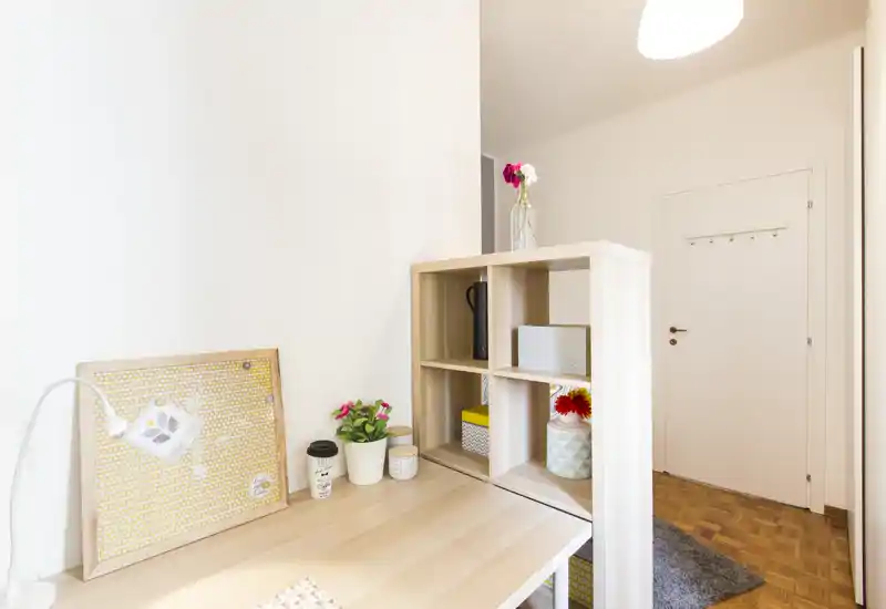 Bright, tidy entrance area with a small shelving divider and decorative plants; wooden floor and neutral walls create a welcoming arrival space.