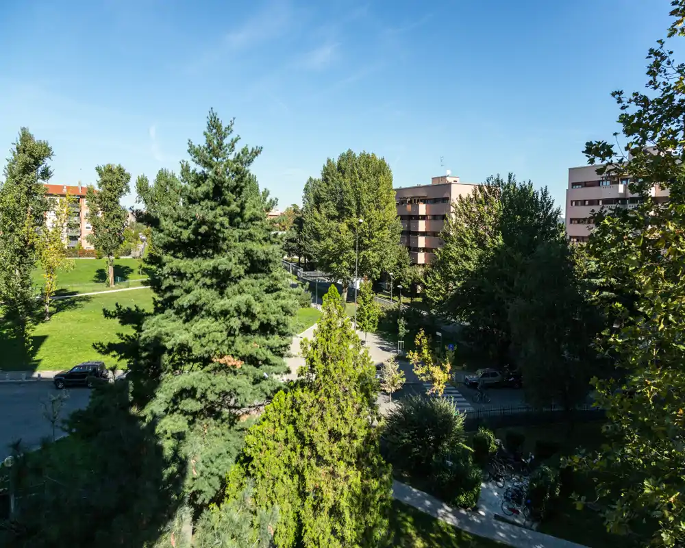 Vista luminosa de una zona verde residencial con árboles maduros, césped y edificios de apartamentos al fondo — ideal para destacar el parque cercano y una agradable panorámica.